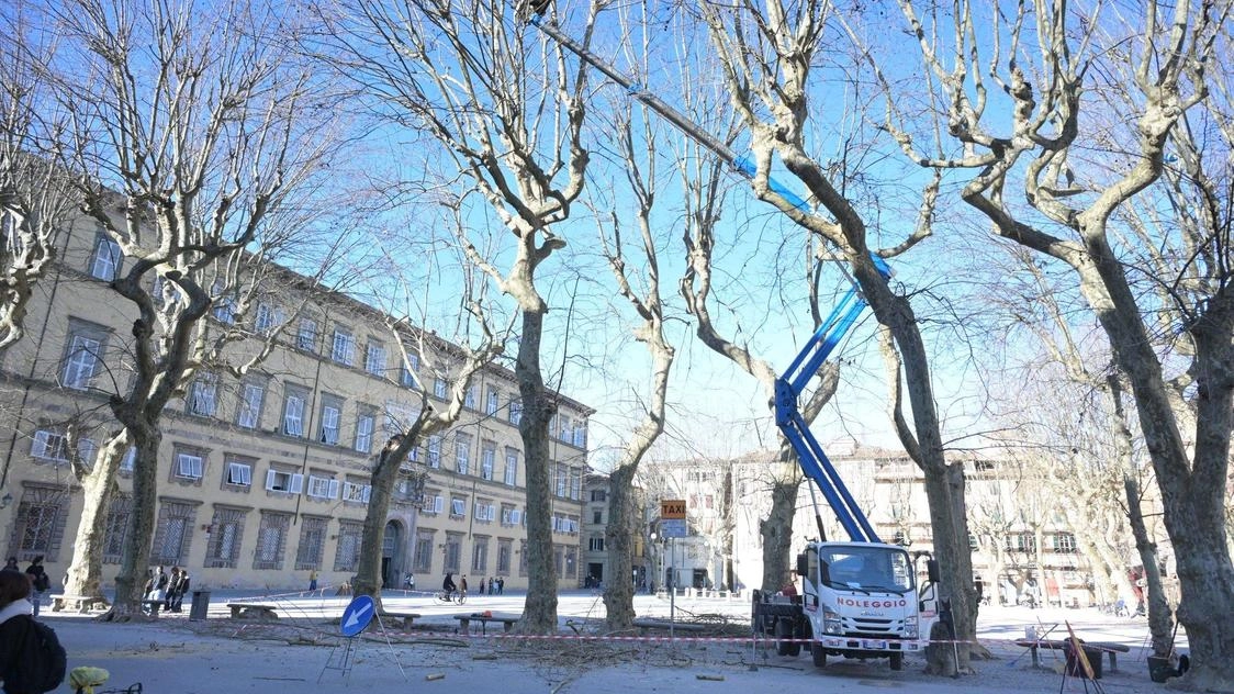 Dopo il via ai lavori per le barriere sulle Mura anche il cantiere per il restyling di piazza Napoleone ha... Dopo il via ai lavori per le barriere sulle Mura anche il cantiere per il restyling di piazza Napoleone ha...