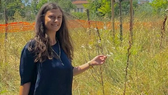Un giardiniere improvvisato è intervenuto ieri in piazza Ciardi, potando i rami più bassi degli alberi che avevano ormai invaso... Un giardiniere improvvisato è intervenuto ieri in piazza Ciardi, potando i rami più bassi degli alberi che avevano ormai invaso...