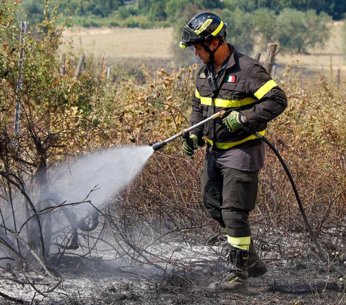 Rischio roghi: guardia alta: "In molti ignorano i divieti" Rischio roghi: guardia alta: "In molti ignorano i divieti"