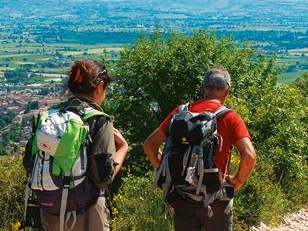 immagine articolo
