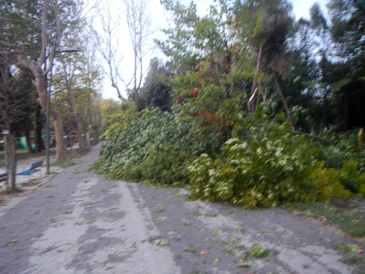 immagine di sfondo 8