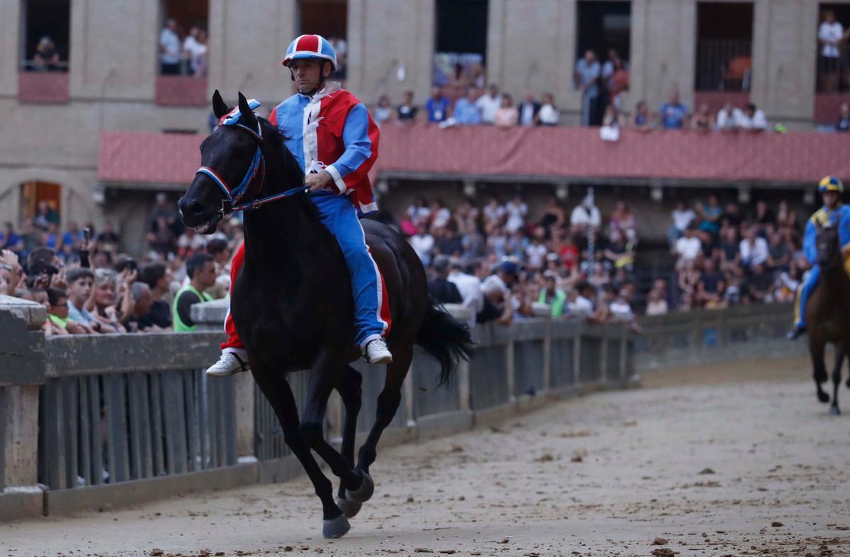 Siena, alla Pantera la prima prova del Palio Siena, alla Pantera la prima prova del Palio