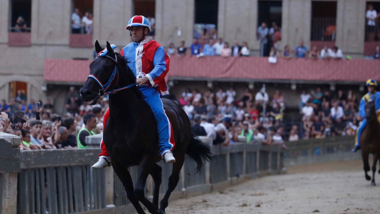 Siena, Palio 2025: la Pantera vince la prima prova (Lazzeroni) Siena, Palio 2025: la Pantera vince la prima prova (Lazzeroni)