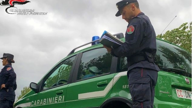 carabinieri forestali