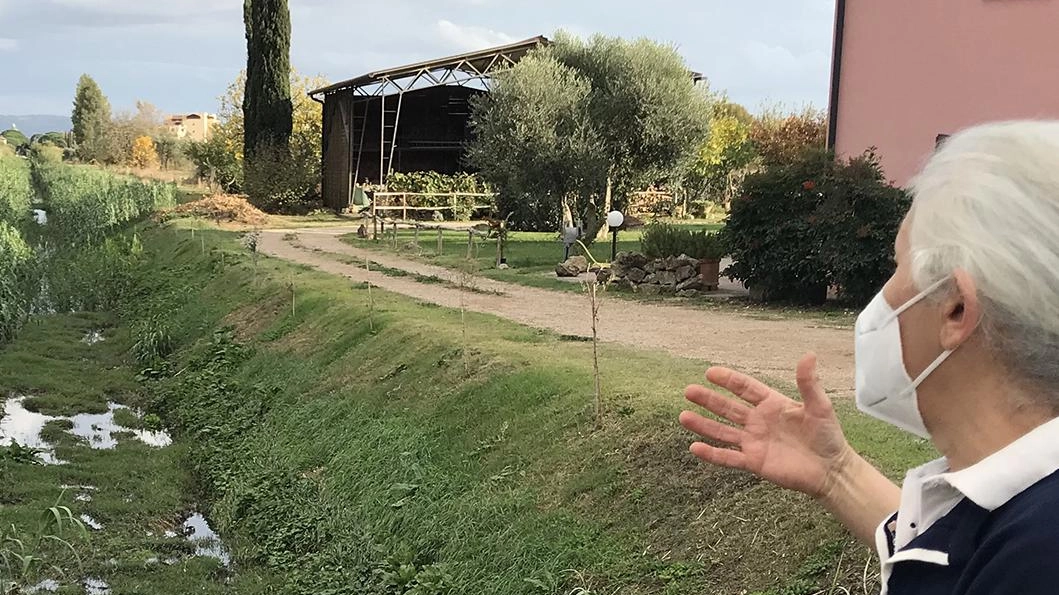 Consorzio di Bonifica soddisfatto delle ’risposte’ avute dal sistema di prevenzione e poi di intervento durante le piogge "Il sistema di pompaggio ha evitato allagamenti gravi". Consorzio di Bonifica soddisfatto delle ’risposte’ avute dal sistema di prevenzione e poi di intervento durante le piogge "Il sistema di pompaggio ha evitato allagamenti gravi".