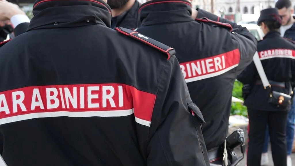 Sui vandali al Centro Nesti e al parco Meoni indagano i carabinieri della tenenza di Montemurlo Sui vandali al Centro Nesti e al parco Meoni indagano i carabinieri della tenenza di Montemurlo