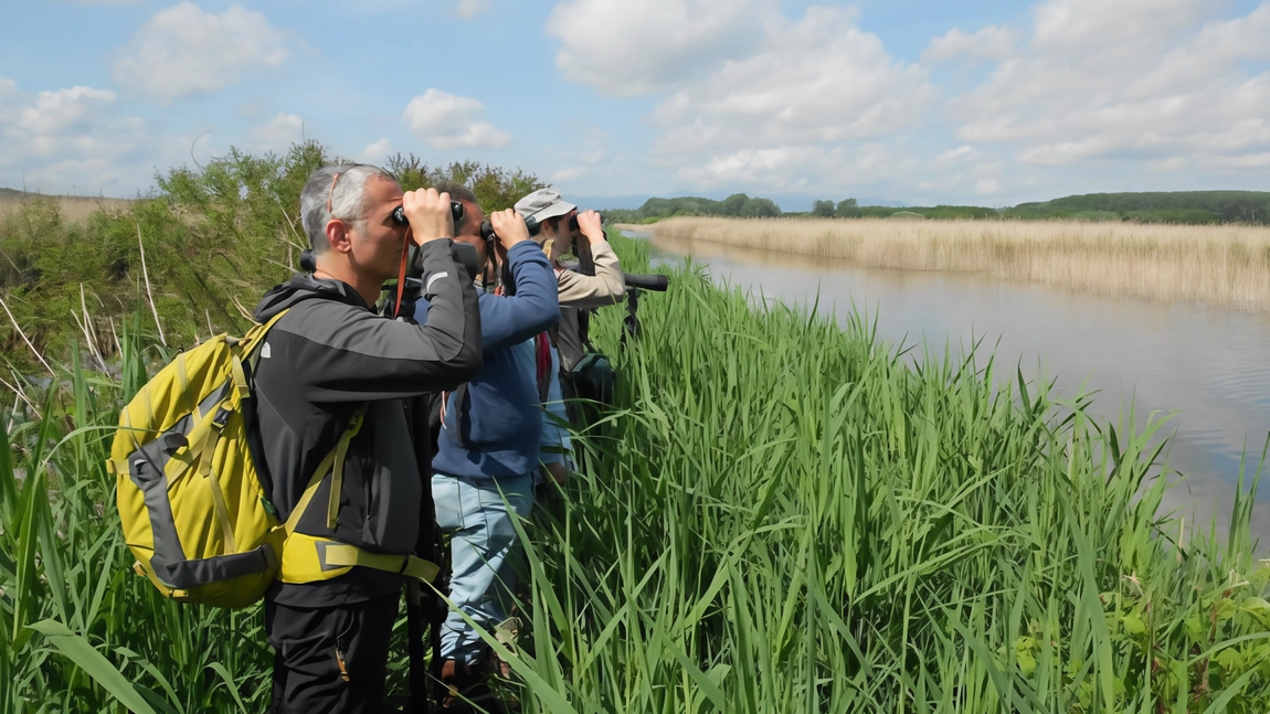 La polemica è scoppiata sui social per l’accessibilità alle attività di birdwatching nella riserva della Morette La polemica è scoppiata sui social per l’accessibilità alle attività di birdwatching nella riserva della Morette