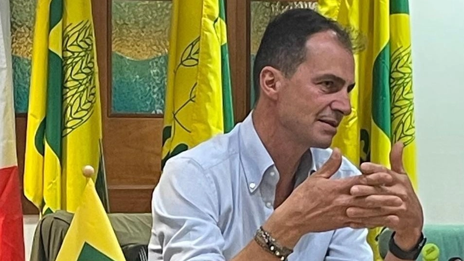 Giulio Mannelli, che è presidente Aprol Umbria e vicepresidente della Coldiretti Perugia: “La raccolta sarà inferiore a quella del 2024”