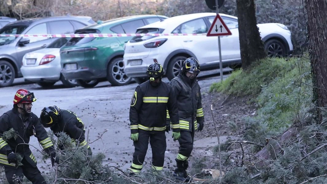 L’intervento dei. pompieri ieri pomeriggio al palazzetto in viale Sclavo dove è caduta una parte dell’albero L’intervento dei. pompieri ieri pomeriggio al palazzetto in viale Sclavo dove è caduta una parte dell’albero
