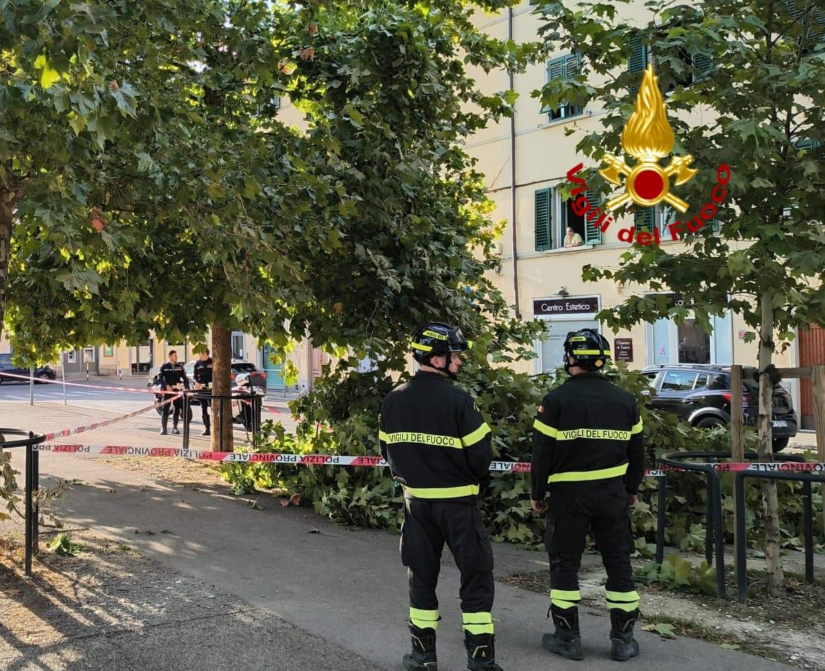 cade un ramo al galluzzo passante ferita