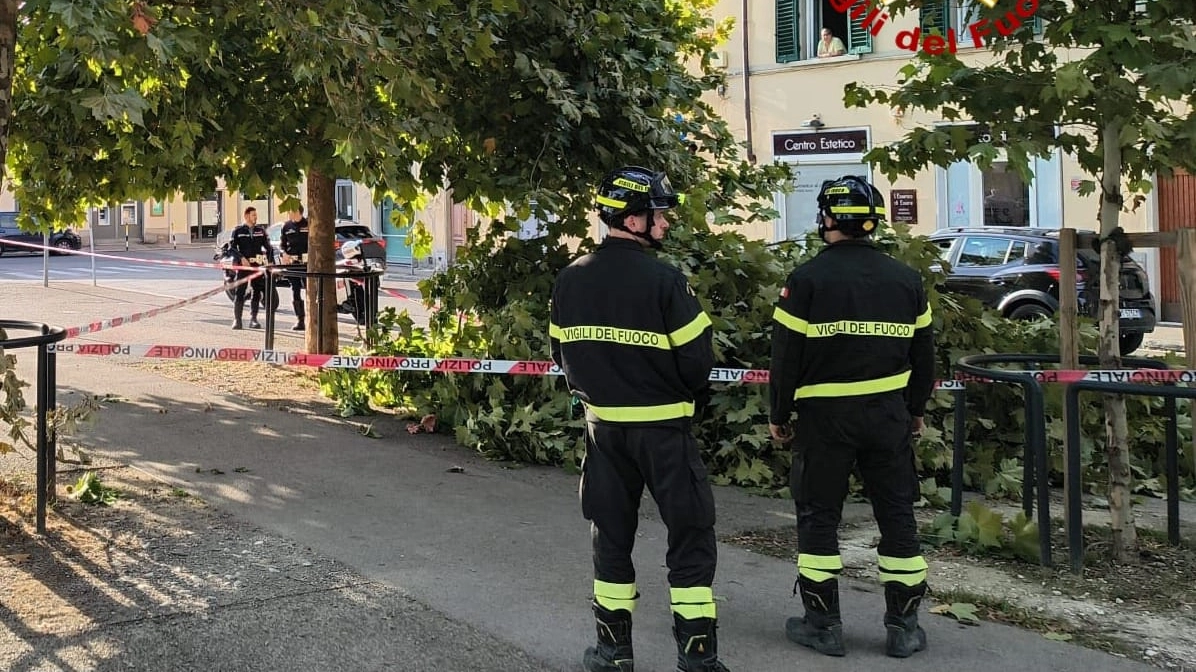 I vigili del fuoco e il ramo caduto a San Casciano