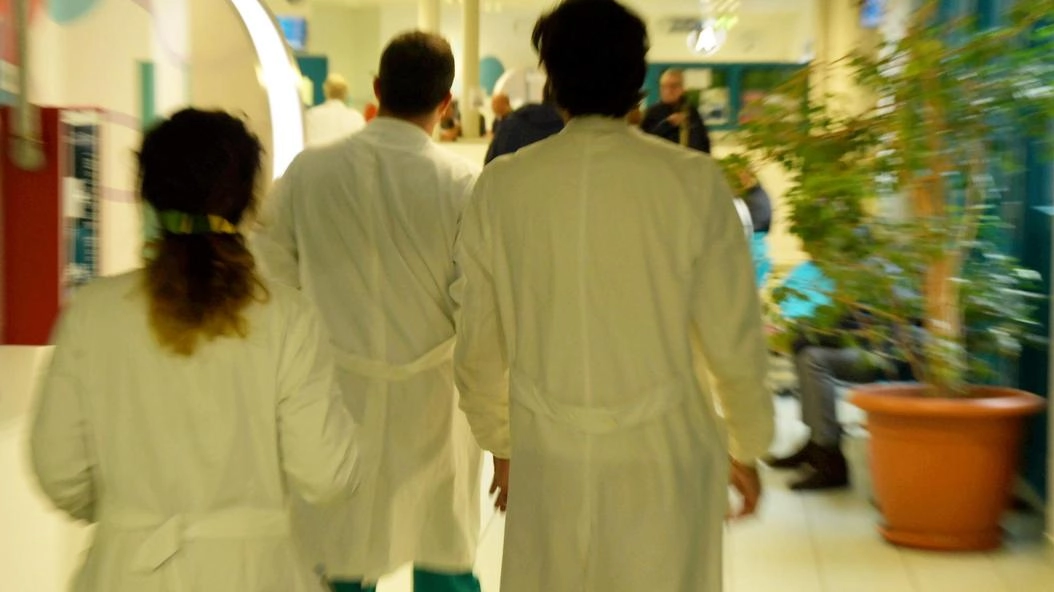 L’elenco dei medici e pediatri a disposizone delle famiglie residenti. in Val di Vara, Golfo, Val di Magra e Spezia (foto d’archivio) L’elenco dei medici e pediatri a disposizone delle famiglie residenti. in Val di Vara, Golfo, Val di Magra e Spezia (foto d’archivio)