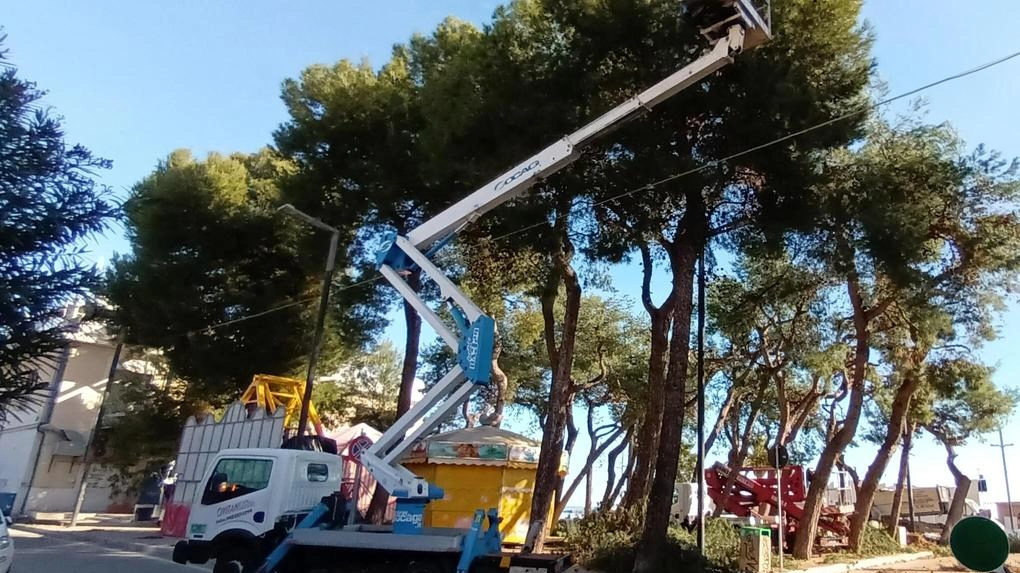 A Pracchia interventi di potatura e abbattimento alberi per garantire sicurezza pubblica. Nuove piante saranno ripiantumate in collaborazione con la Proloco locale. A Pracchia interventi di potatura e abbattimento alberi per garantire sicurezza pubblica. Nuove piante saranno ripiantumate in collaborazione con la Proloco locale.