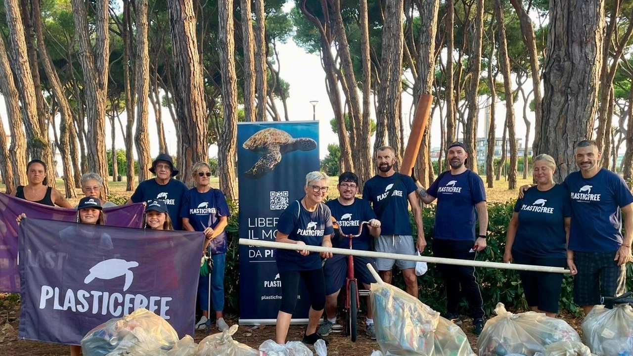 I volontarti di Plastic free in azione nella pineta di fronte al porto. Sono stati prelevati più di 180 chili di rifiuti interrati e abbandonati da tempo I volontarti di Plastic free in azione nella pineta di fronte al porto. Sono stati prelevati più di 180 chili di rifiuti interrati e abbandonati da tempo
