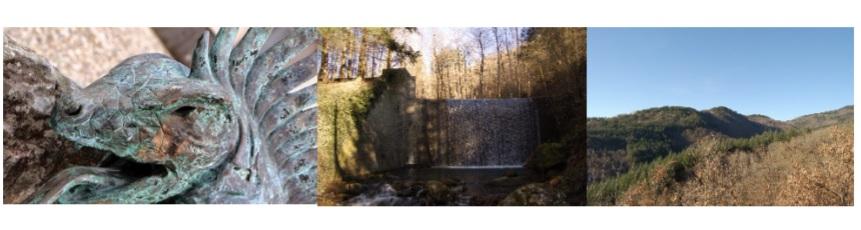 escursione fiab arezzo nel parco foreste casentinesi
