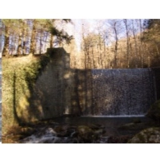 Escursione Fiab Arezzo nel Parco Foreste Casentinesi
