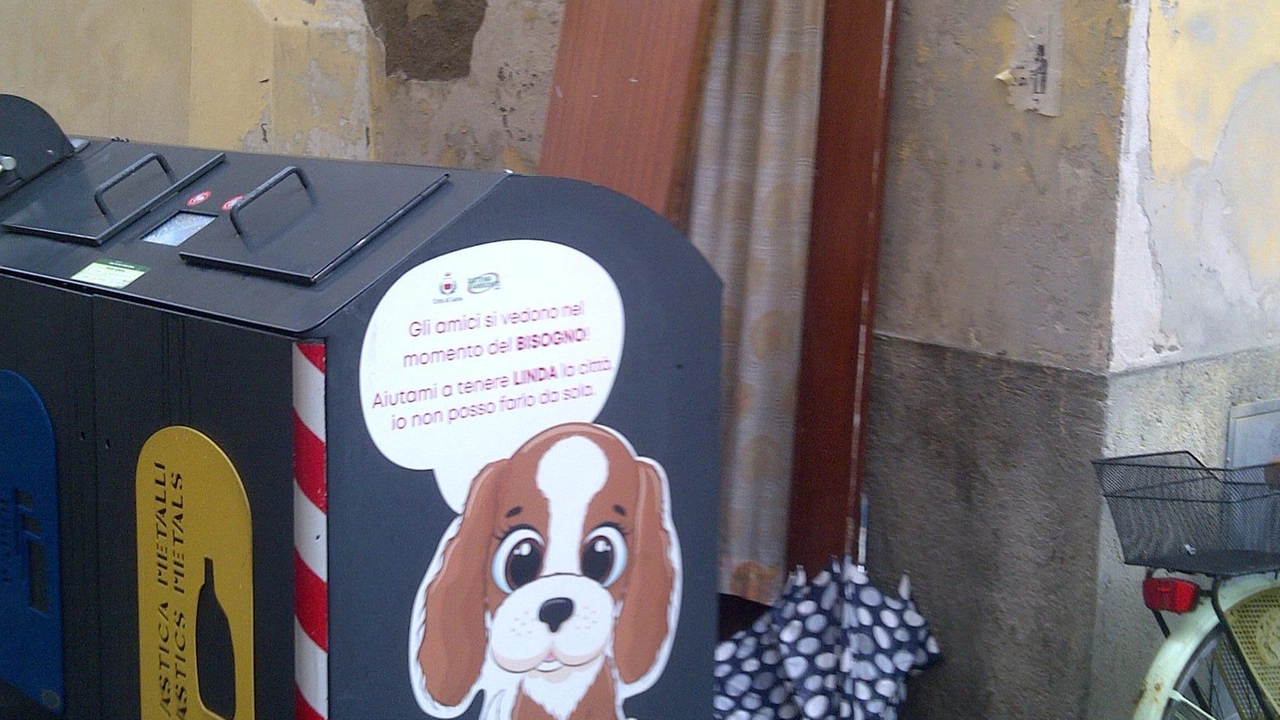L’ennesimo episodio di inciviltà è avvenuto in via San Paolino L’ennesimo episodio di inciviltà è avvenuto in via San Paolino