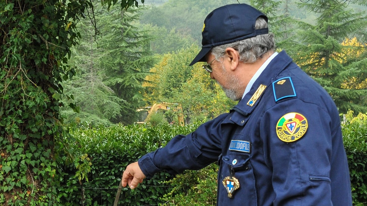 È allarme avvelenamenti animali anche a Rignano. Per ora si parla di "presunte" morti per l’effetto devastante del veleno,... È allarme avvelenamenti animali anche a Rignano. Per ora si parla di "presunte" morti per l’effetto devastante del veleno,...