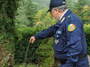 immagine articolo