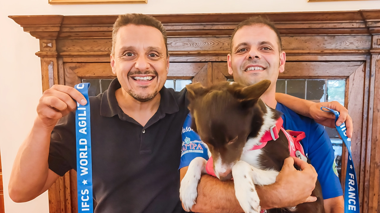 Il sestese Giacomo Biancalani e la sua border collie J-Music trionfano ai Campionati mondiali di agility dog IFCS 2024 a Bourgbarré, Francia. Vittoria accolto dall'assessore allo sport Damiano Sforzi. Biancalani già campione sei anni fa. Il sestese Giacomo Biancalani e la sua border collie J-Music trionfano ai Campionati mondiali di agility dog IFCS 2024 a Bourgbarré, Francia. Vittoria accolto dall'assessore allo sport Damiano Sforzi. Biancalani già campione sei anni fa.