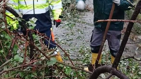 Un intervento dei volontari della Protezione Civile di Montignoso sul territorio colpito dal maltempo Un intervento dei volontari della Protezione Civile di Montignoso sul territorio colpito dal maltempo