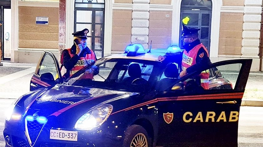 Il treno è ripartito da Lucca, ma è stato poi fermato di nuovo ad Altopascio dove i carabinieri hanno identificato e denunciato due 22enni marocchini Il treno è ripartito da Lucca, ma è stato poi fermato di nuovo ad Altopascio dove i carabinieri hanno identificato e denunciato due 22enni marocchini