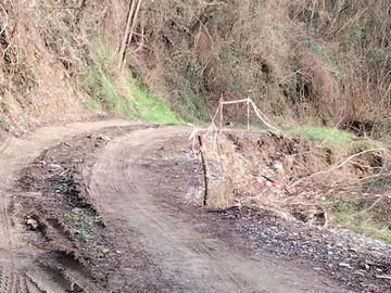 immagine articolo