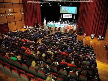 immagine articolo