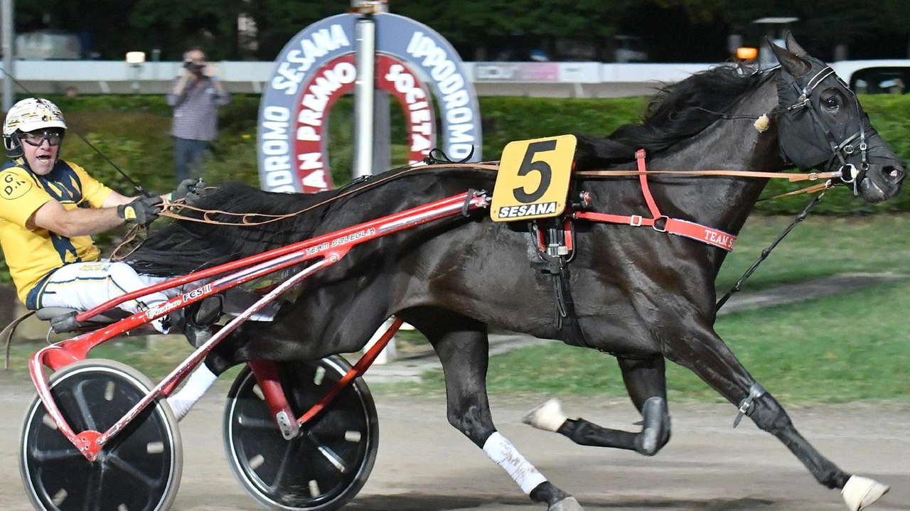 Il guidatore Gaetano Di Nardo sul traguardo del Società Terme 2024 con il cavallo Fuente Cas (Rosellini)