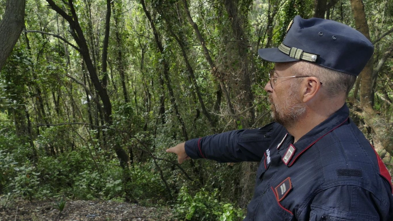 Lorenzo Conti gestisce un’azienda agricola e li ha visti da vicino: "Scendono giù per cercare cibo. Adesso si trovano molto più in basso che in passato. E in questa zona tanti vengono a camminare". Lorenzo Conti gestisce un’azienda agricola e li ha visti da vicino: "Scendono giù per cercare cibo. Adesso si trovano molto più in basso che in passato. E in questa zona tanti vengono a camminare".