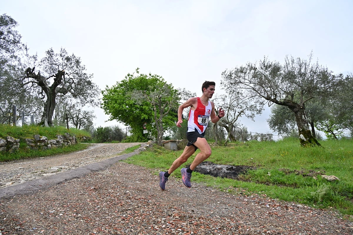 immagine di sfondo 20