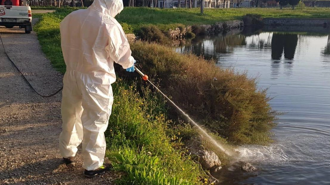 Una campagna di disinfestazione contro le zanzare: al via in questi giorni le operazioni a Scandicci (foto archivio) Una campagna di disinfestazione contro le zanzare: al via in questi giorni le operazioni a Scandicci (foto archivio)