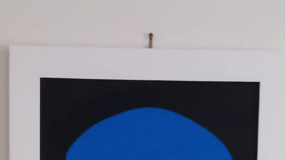 la mostra la mostra