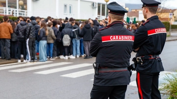 Studentessa molestata: palpeggiamenti e baci. Scuola sotto choc, prof e preside arrestati