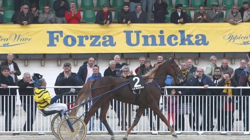 Ammessa una parziale rinnovazione istruttoria: sarà risentito un testimone. I due campioni scomparvero nel 2017 dalla scuderia Wave di Staffoli. Ammessa una parziale rinnovazione istruttoria: sarà risentito un testimone. I due campioni scomparvero nel 2017 dalla scuderia Wave di Staffoli.