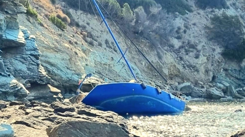 A Cala Purgatorio sull'Argentario, una barca a vela è incagliata con due turisti salvati. La Capitaneria di Porto ordina la rimozione, seguendo il codice della navigazione. Preoccupazione per la negativa pubblicità marittima della zona. A Cala Purgatorio sull'Argentario, una barca a vela è incagliata con due turisti salvati. La Capitaneria di Porto ordina la rimozione, seguendo il codice della navigazione. Preoccupazione per la negativa pubblicità marittima della zona.
