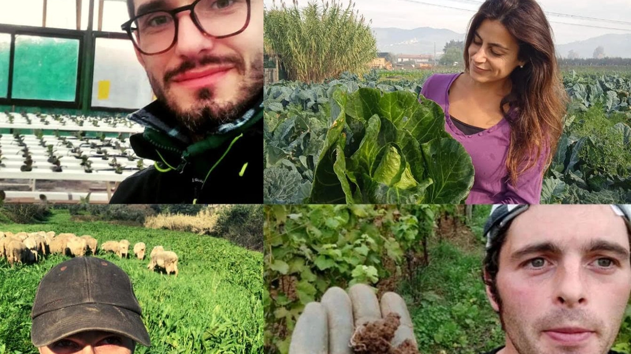 Le aziende sono Companatico di Montecatini Terme, l’Ortologico di Pieve a Nievole, Artemisia a. Cintolese e podere Ferruccio di. Massa e Cozzile Le aziende sono Companatico di Montecatini Terme, l’Ortologico di Pieve a Nievole, Artemisia a. Cintolese e podere Ferruccio di. Massa e Cozzile