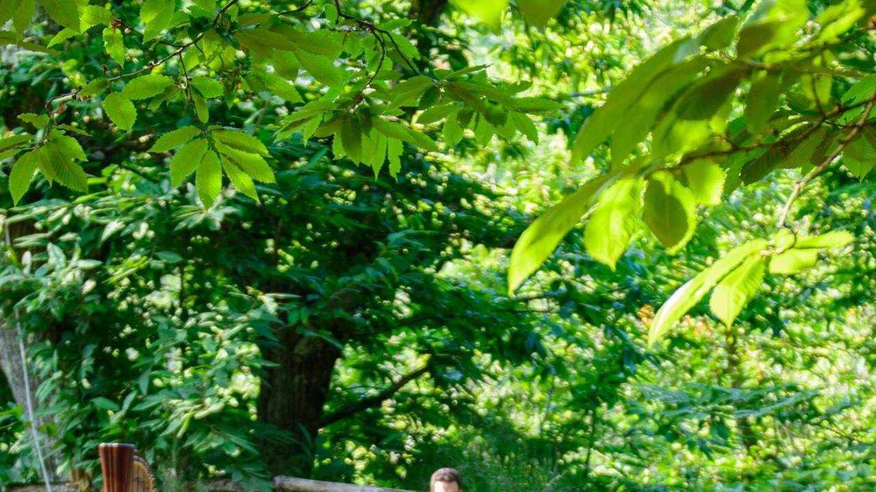 Si comincia domani pomeriggio a partire dalle 17.30 con Paola Massoni. Si proseguirà poi mercoledì 13 agosto con "Il bosco che risuona". Si comincia domani pomeriggio a partire dalle 17.30 con Paola Massoni. Si proseguirà poi mercoledì 13 agosto con "Il bosco che risuona".