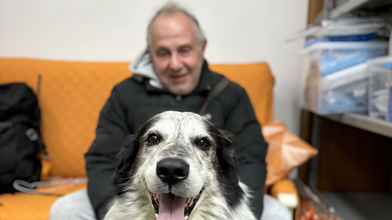 Giuseppe e il suo cane Bobby: l’uomo per i prossimi tre giorni sarà in una struttura d’accoglienza, e l’amico peloso dalla Lav Giuseppe e il suo cane Bobby: l’uomo per i prossimi tre giorni sarà in una struttura d’accoglienza, e l’amico peloso dalla Lav