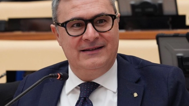 Vincenzo Falabella, presidente FISH (Federazione Italiana per il Superamento dell'Handicap) Vincenzo Falabella, presidente FISH (Federazione Italiana per il Superamento dell'Handicap)