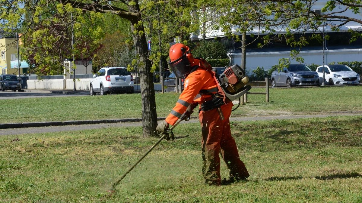La prima area affidata in via Majorana: l’associazione Minimoto taglierà l’erba e manterrà la zona . La prima area affidata in via Majorana: l’associazione Minimoto taglierà l’erba e manterrà la zona .