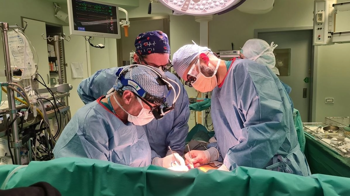 La Cgil interviene sulla riduzione degli anestesisti a Massa Carrara, denunciando tagli che mettono a rischio i servizi di emergenza e chirurgia. Minaccia lo stato di agitazione del personale ospedaliero se l'azienda procederà con il programma. La Cgil interviene sulla riduzione degli anestesisti a Massa Carrara, denunciando tagli che mettono a rischio i servizi di emergenza e chirurgia. Minaccia lo stato di agitazione del personale ospedaliero se l'azienda procederà con il programma.