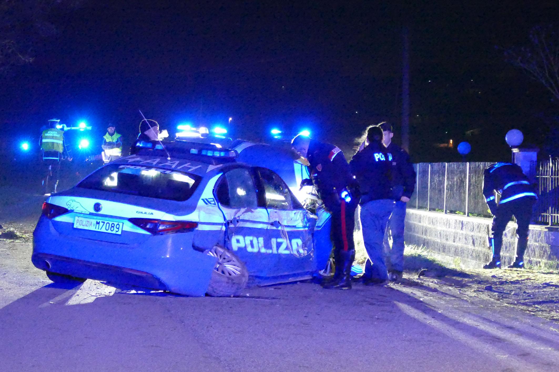 incidente tragicomico animale fortuna
