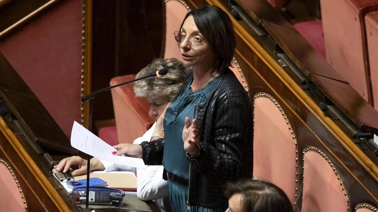 Ylenia Zambito, senatrice del Partito Democratico Ylenia Zambito, senatrice del Partito Democratico