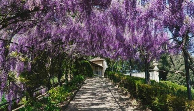 Firenze, al via Firenze, al via