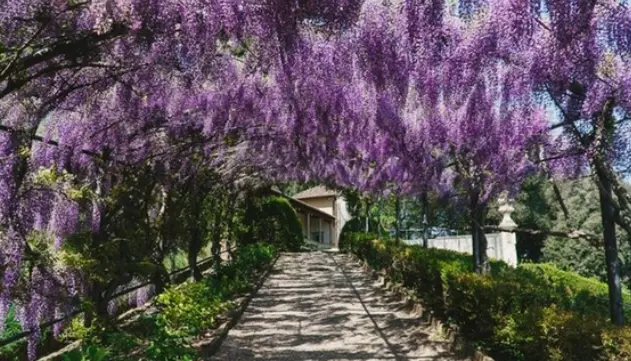 Firenze, al via 'La città dei lettori'