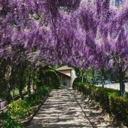 Firenze, al via 'La città dei lettori'