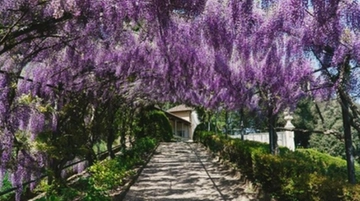 Firenze, al via 'La città dei lettori'