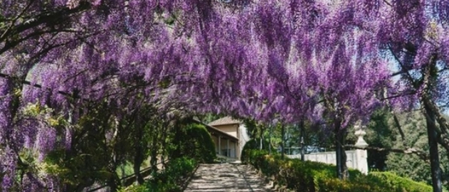 Firenze, al via 'La città dei lettori'