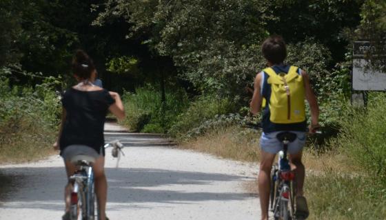 Cadavere in pineta a Torre del Lago: macabra scoperta dopo una giornata al mare